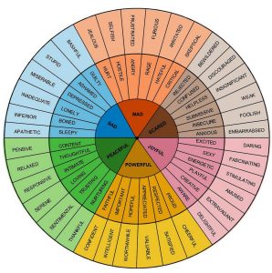 colorful wheel showing various different emotions inside